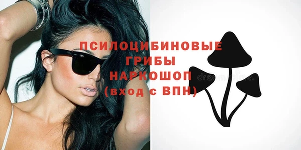 ГАЛЛЮЦИНОГЕННЫЕ ГРИБЫ Лихославль
