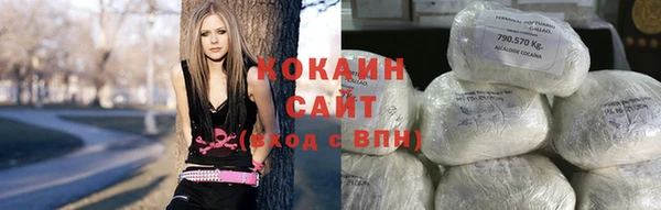 твердый Лагань