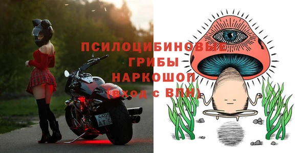 твердый Лагань