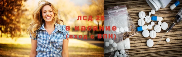 твердый Лагань
