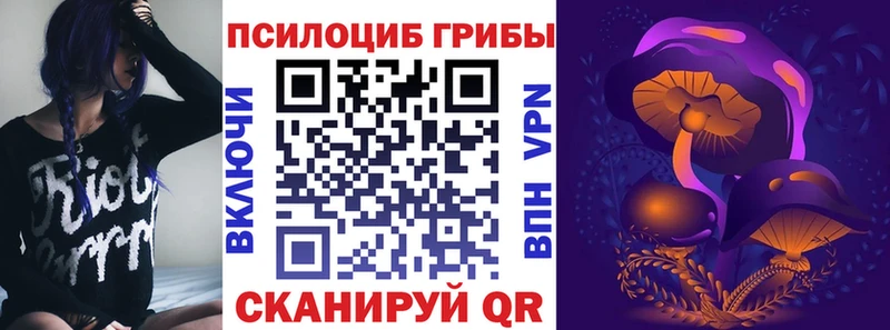 купить сайты Оса Псилоцибиновые грибы Psilocybine cubensis